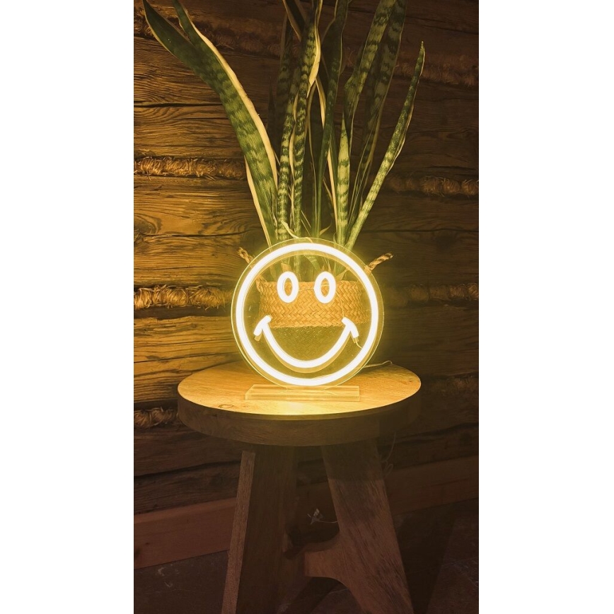 2Kids Toys - Decoração de mesa em neon LED/5W/USB — rosto sorridente