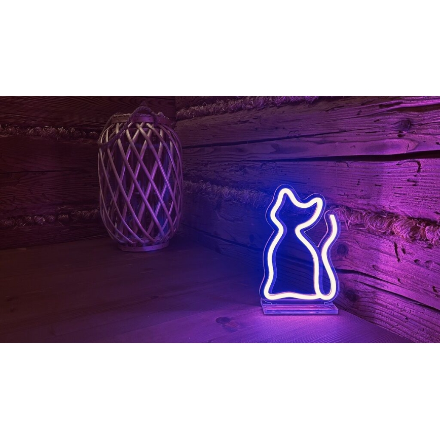 2Kids Toys - Decoração de mesa LED Neon LED/5W/USB gato