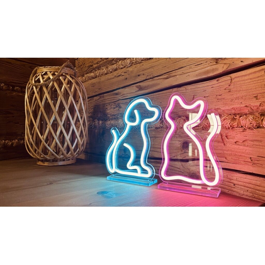 2Kids Toys - Decoração de mesa LED Neon LED/5W/USB gato