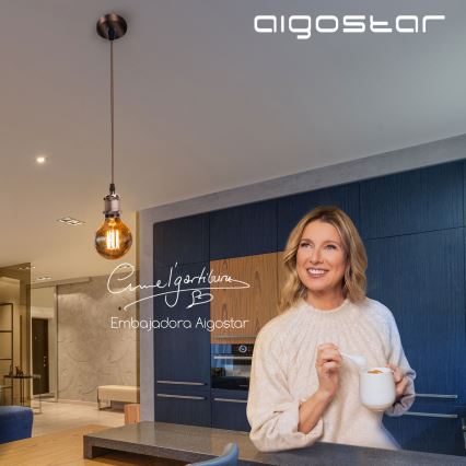 Aigostar - Cabo de carregamento 1xE27/60W/230V cobre