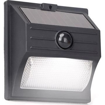 Aigostar - Candeeiro solar LED com sensor, 3,7 V, 6500 K, 500 mAh, IP65, preto