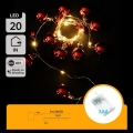 Aigostar - Cordão de luzes LED, 20 LEDs, 3x AA, 2 m, branco quente
