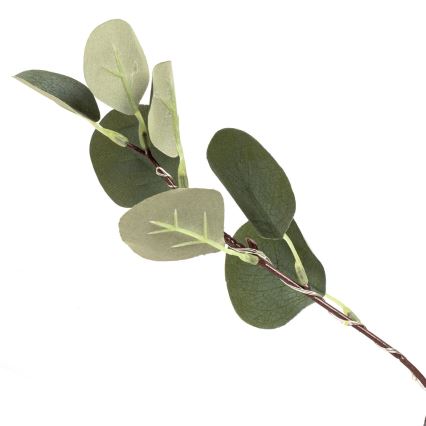 Aigostar - Decoração solar LED 210xLED/3,5m IP65 300 mAh branco quente eucalipto