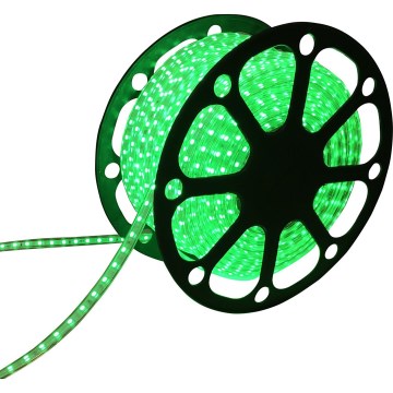 Aigostar - Fita LED 50m LED/300W/230V IP65 verde