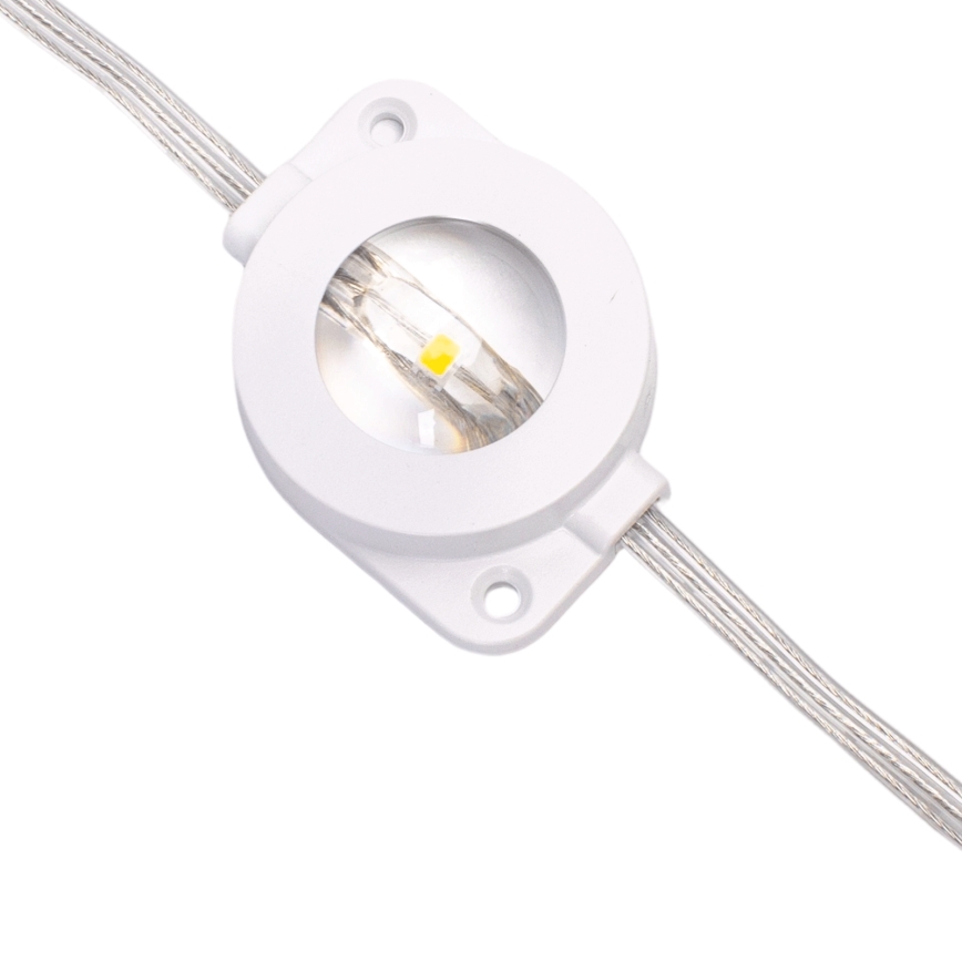 Aigostar - Guirlanda de Natal LED regulável para exterior, 50 LEDs / 8 funções, 20 m, IP44, multicolorido + controlo remoto