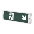 Aigostar - Iluminação de emergência LED EMERGENCY EXIT LED/4W/230V IP65 6500K 600mAh