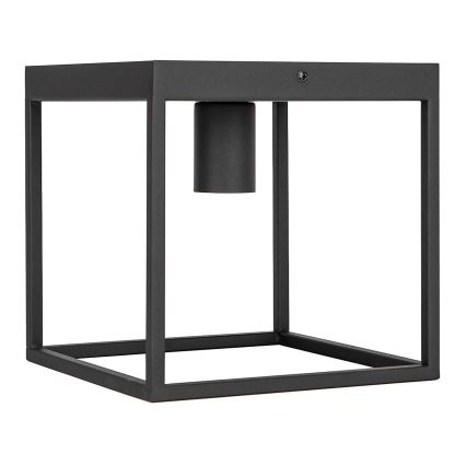 Aigostar - Iluminação de teto 1xE27/40W/230V preto