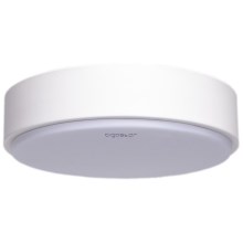 Aigostar - Iluminação de teto LED LED/12W/230V 6500K d. 23 cm branco