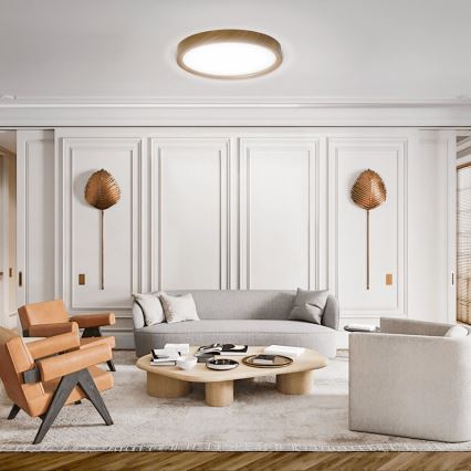 Aigostar - Iluminação de teto LED LED/12W/230V 6500K diâmetro 26,3 cm