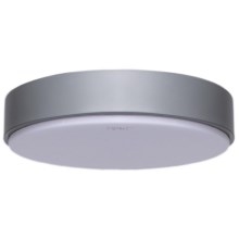Aigostar - Iluminação de teto LED LED/20W/230V 6500K cinzento