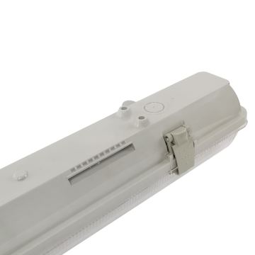 Aigostar - Iluminação industrial fluorescente T8 1xG13/20W/230V IP65