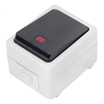 Aigostar - Interruptor de 1 botão IP54