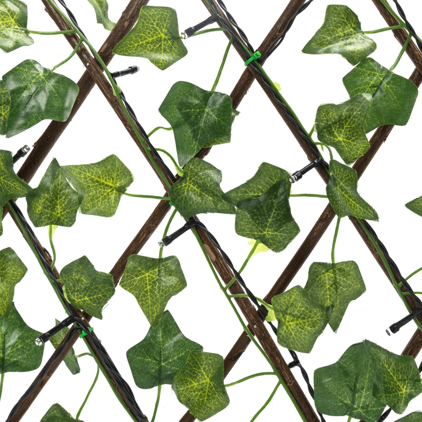 Aigostar - Fio de Luz Solar LED 56xLED/2x0,4m IP65 300 mAh branco quente hera