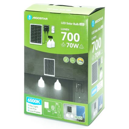 Aigostar - Lustre solar LED 2x LED/35W/12V, 6000 mAh, 6500 K, IP65, diâmetro 10 cm + comando remoto