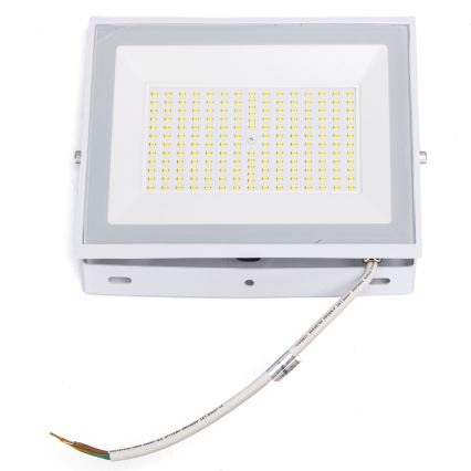 Aigostar - Refletor LED/100W/230V 6500K IP65