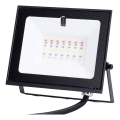 Aigostar - Refletor LED RGB regulável LED/10W/230V IP65 + controlo remoto