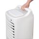 Aigostar - Refrigerador de ar 60W/230V branco + controlo remoto