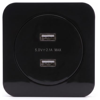 Aigostar - Tomada de alimentação USB com moldura, 2x USB-A, preta