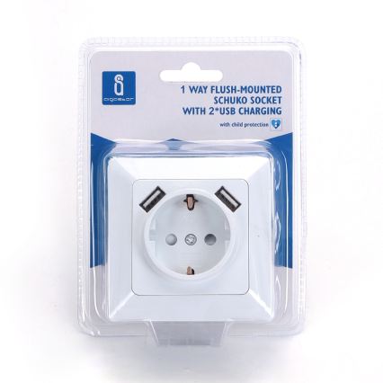 Aigostar - Tomada doméstica SCHUKO 250V + 2x USB com moldura branca