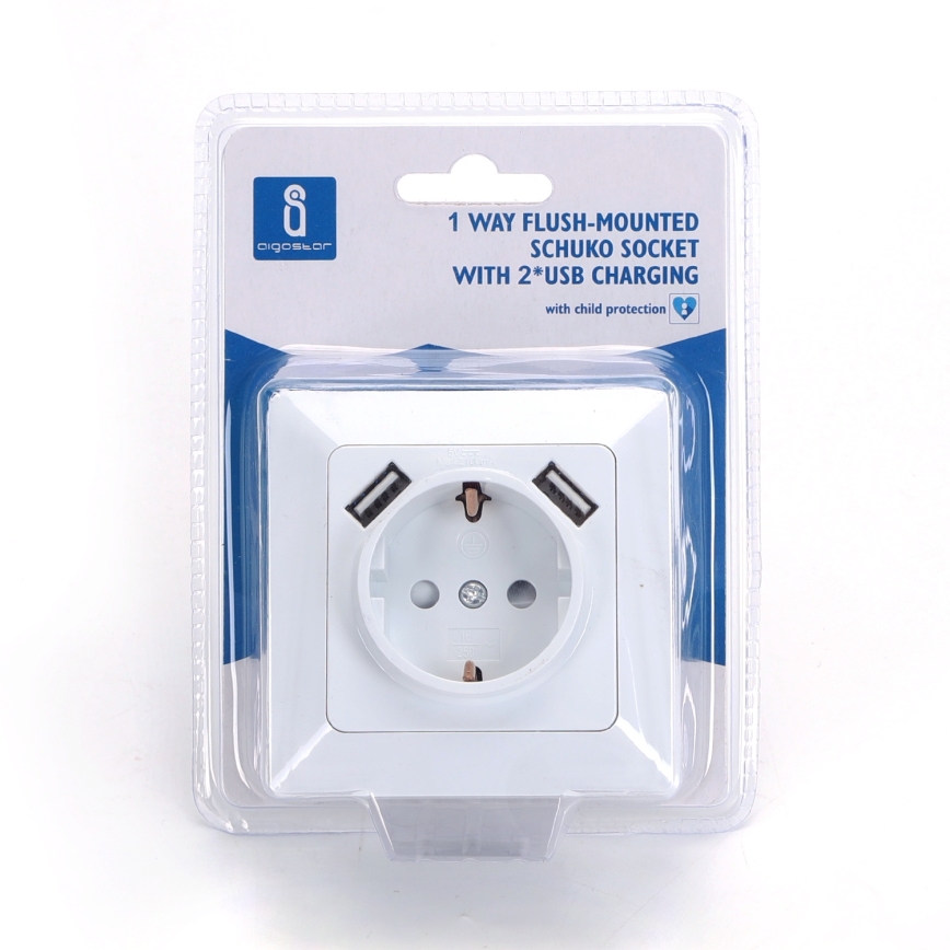 Aigostar - Tomada doméstica SCHUKO 250V + 2x USB com moldura branca