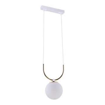 Amplex - Candelabro suspenso 1xE14/15W/230V preto