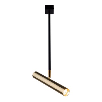 Amplex - Candelabro suspenso 1xGU10-MR11/15W/230V preto/latão