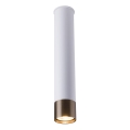 Amplex - Spot direcionável 1xGU10/10W/230V branco/dourado