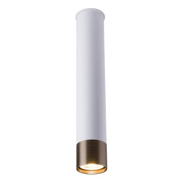 Amplex - Spot direcionável 1xGU10/10W/230V branco/dourado