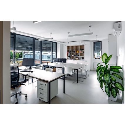 APLED - Candelabro suspenso LED LOOK LED/23W/230V 4000K 60 cm prateado