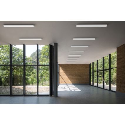 APLED - LED Iluminação integrada TROUT LED/36W/230V 4000K