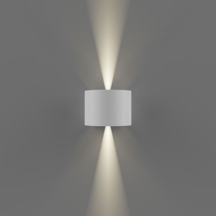 APLED - Luz de parede LED de exterior OVAL 2xLED/3W/230V IP65