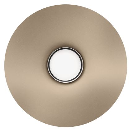 Aplique de parede CAPITAL 1xGX53/15W/230V taupe