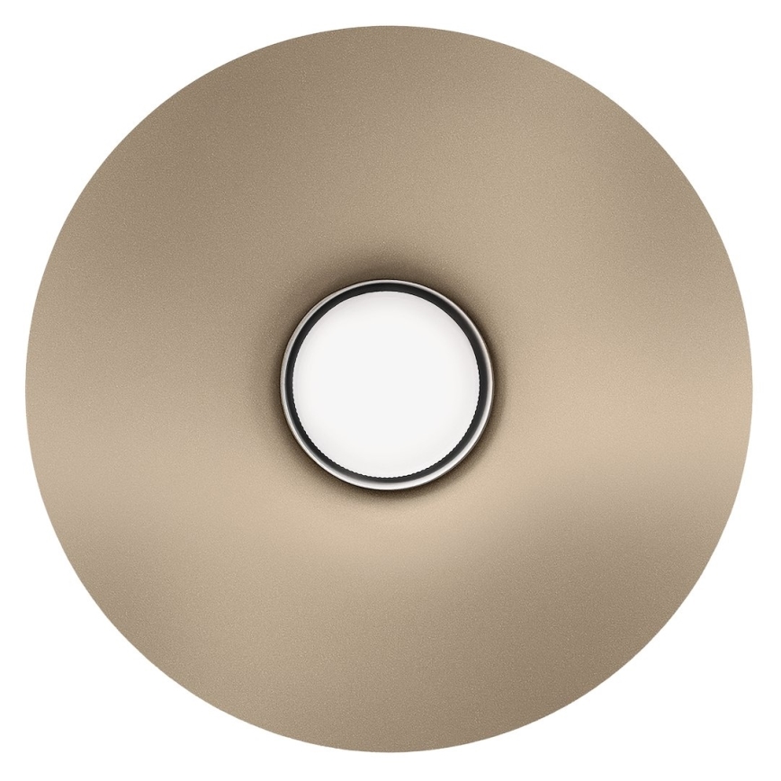 Aplique de parede CAPITAL 1xGX53/15W/230V taupe