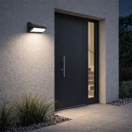 Aplique de parede exterior FREON 1xE27/50W/230V IP54 antracite