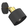 Aplique de parede orientável PARKLA 1xE27/15W/230V preto/dourado