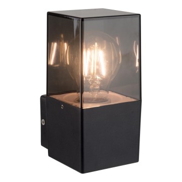 Aplique de parede para exterior 1xE27/40W/230V IP44 preto/fumado