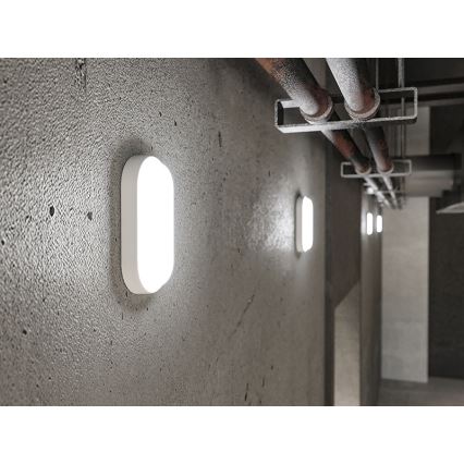 Aplique de parede para exterior LED/6W/230V IP54 branco