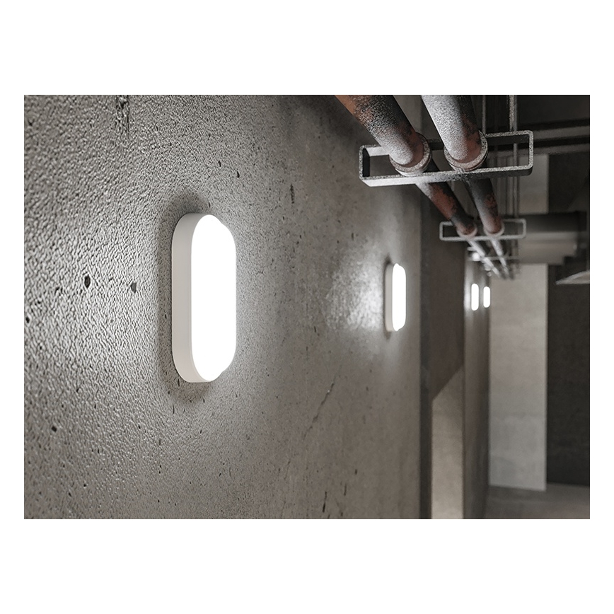 Aplique de parede para exterior LED/6W/230V IP54 branco