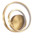 Aplique de parede ZEFIRA LED/14W/230V 4000K dourado