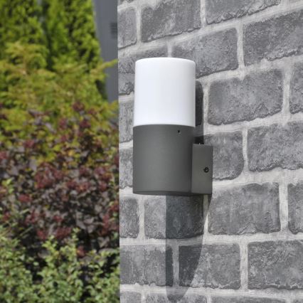 Luminária de parede exterior DALLAS 1xE27/12W/230V IP44 antracite