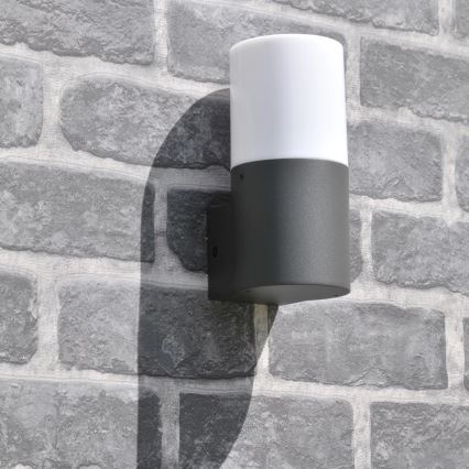 Luminária de parede exterior DALLAS 1xE27/12W/230V IP44 antracite