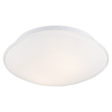 Argon 0694 - Iluminação de teto GIN 2xE27/15W/230V branco