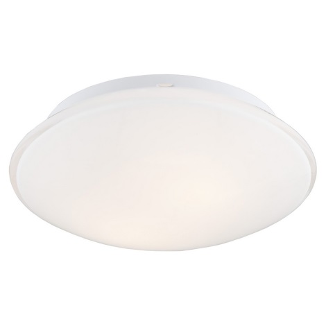 Argon 0694 - Iluminação de teto GIN 2xE27/15W/230V branco