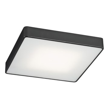 Argon 1577 - Luz de teto ONTARIO 4xE27/15W/230V