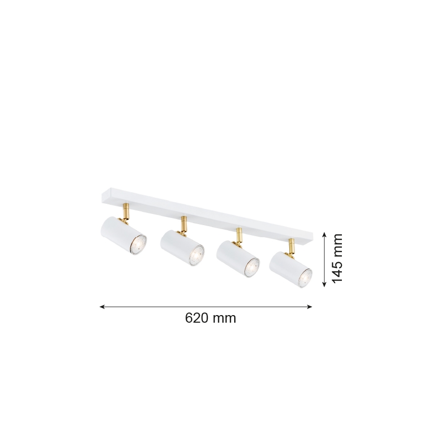 Argon 1689 - Foco LAGOS 4xGU10/5W/230V branco/dourado