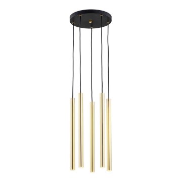 Argon 2109 - Candelabro suspenso LED SICILIA 5xLED/4,5W/230V