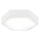 Argon 3827 - Iluminação de teto LED ARIZONA LED/22,5W/230V branco