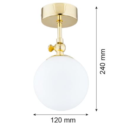 Argon 4001 - Plafon para casa de banho LATINA 1xE14/40W/230V IP44