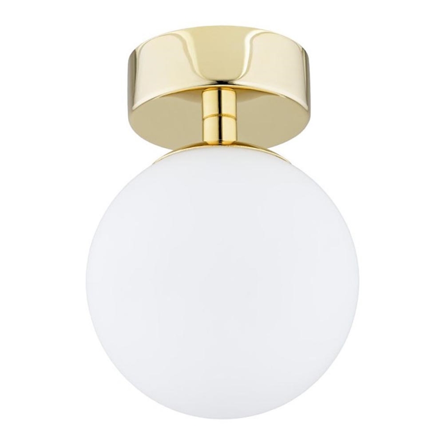 Argon 4004 - Iluminação de teto FLAVIO 1xE14/7W/230V