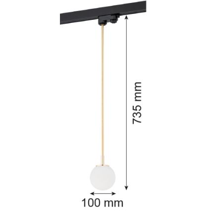 Argon 4308 - Candelabro suspenso para sistema de carril BANG 1xG9/6W/230V latão